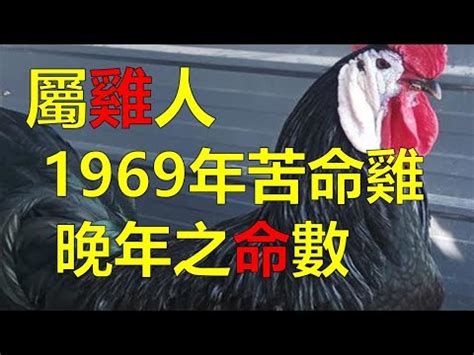 69屬什麼|民國69年是西元幾年？民國69年是什麼生肖？民國69年幾歲？